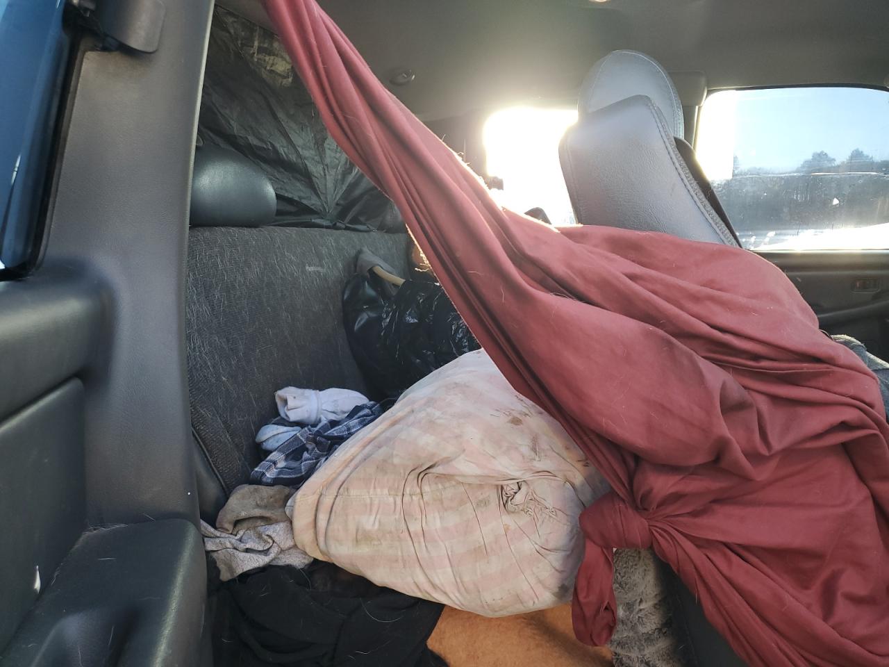 2002 Chevrolet Silverado K1500 VIN: 2GCEK19T121245626 Lot: 76496214