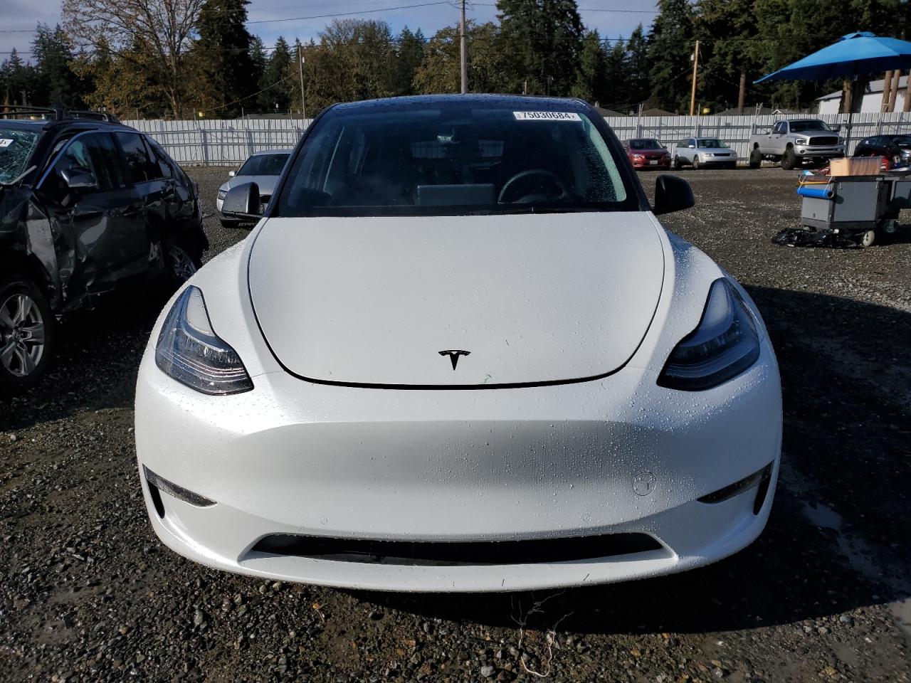 VIN 7SAYGDEE0NF341498 2022 TESLA MODEL Y no.5