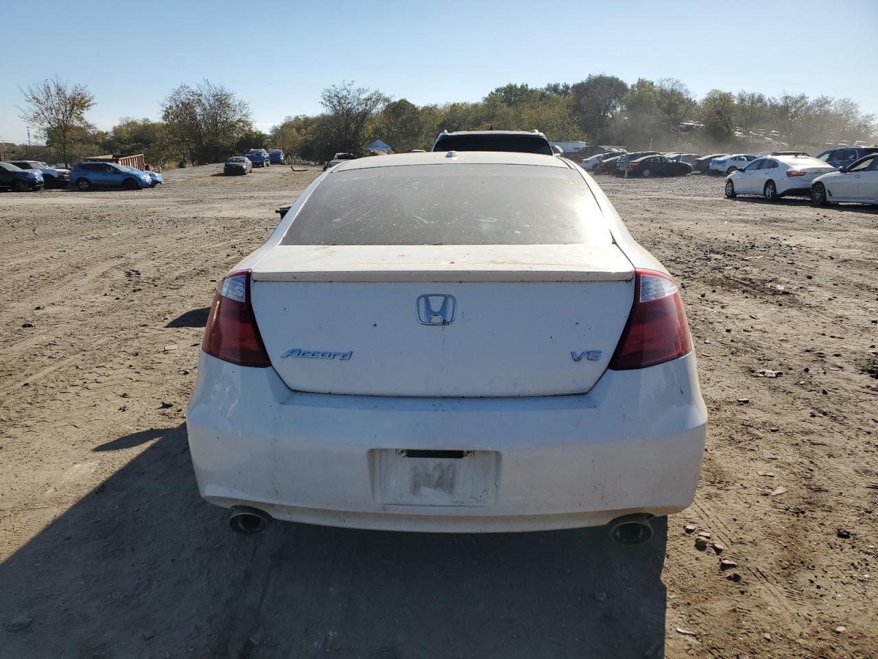 2010 Honda Accord Exl VIN: 1HGCS2B80AA009896 Lot: 77745094