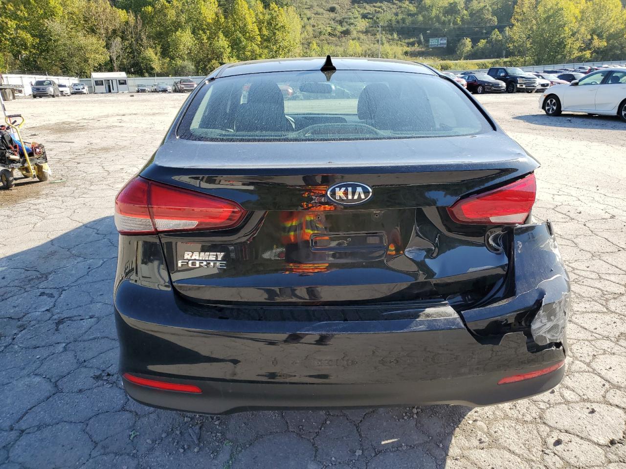 2017 Kia Forte Lx VIN: 3KPFK4A78HE097667 Lot: 73808064