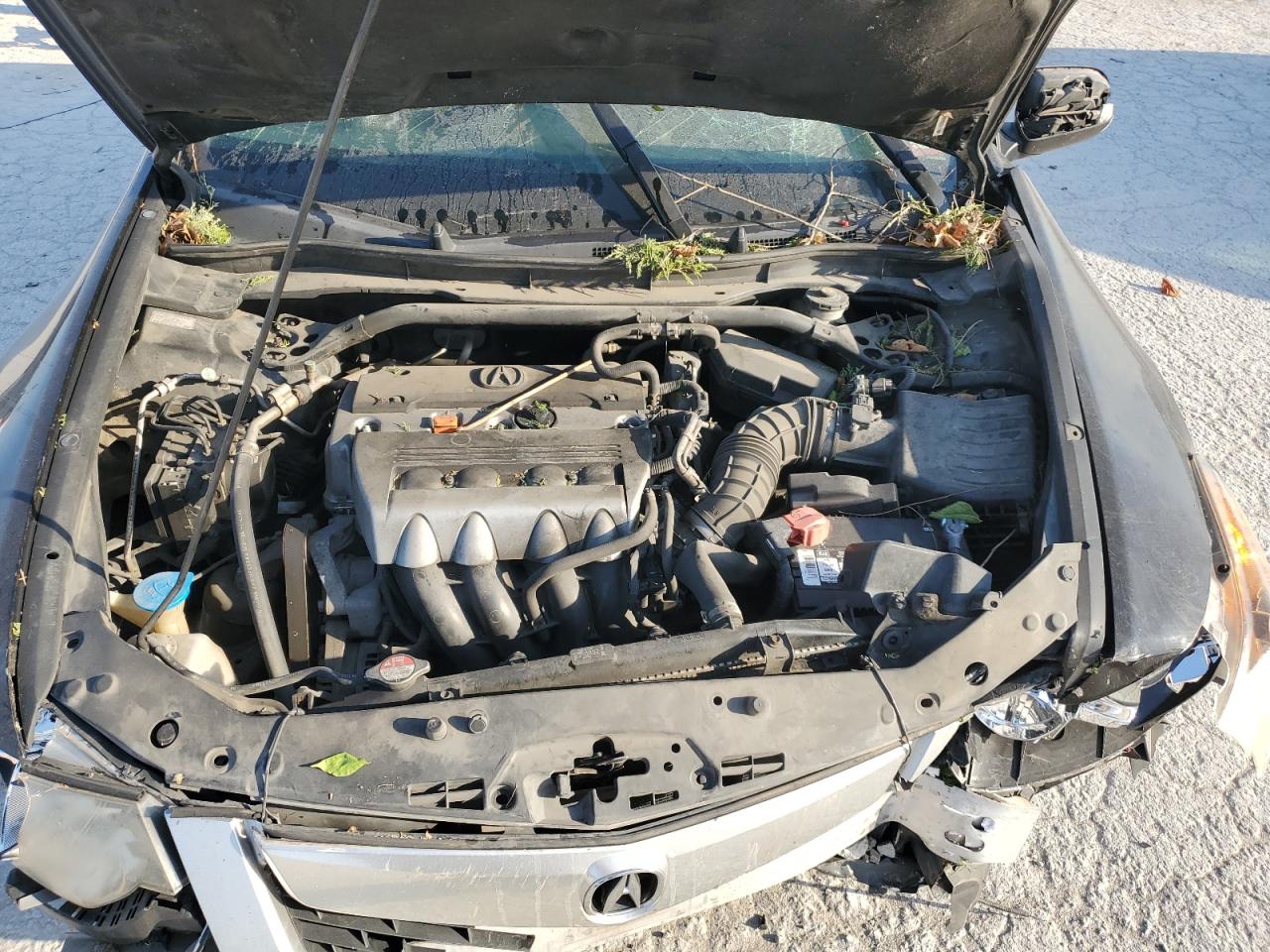 2010 Acura TSX - Image 12