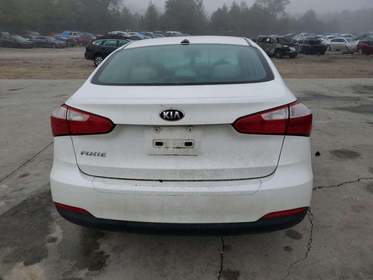 2014 Kia Forte Lx VIN: KNAFX4A64E5123579 Lot: 77145304