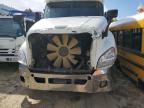 Glassboro, NJ에서 판매 중인 2014 Freightliner Cascadia 125  - Front End