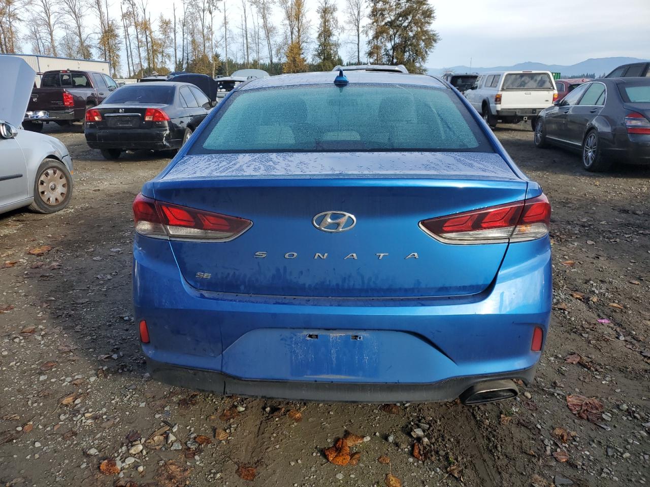 2018 Hyundai Sonata Se VIN: 5NPE24AF6JH633651 Lot: 75966314