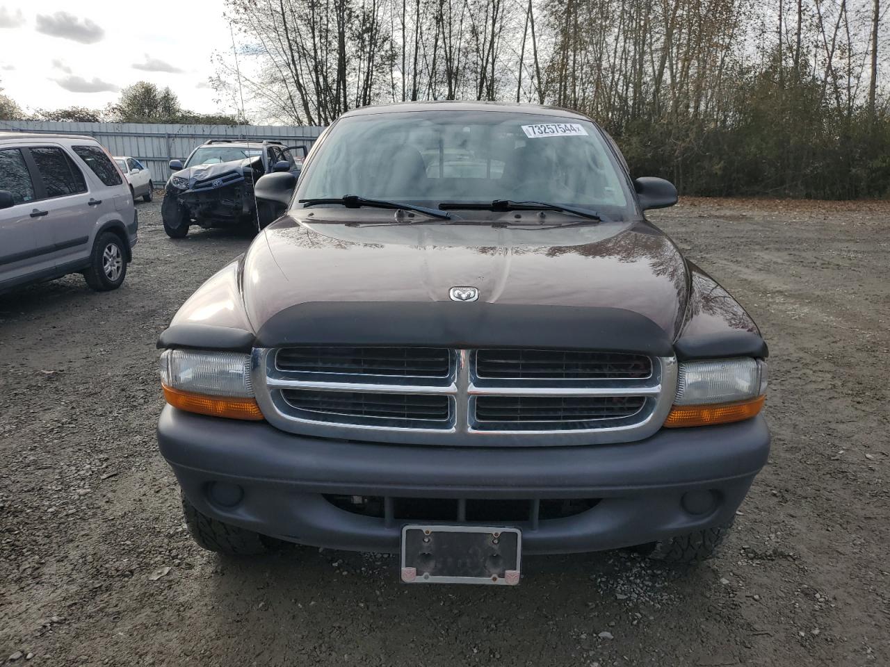 2004 Dodge Dakota Sxt VIN: 1D7HG12K04S691646 Lot: 73257544