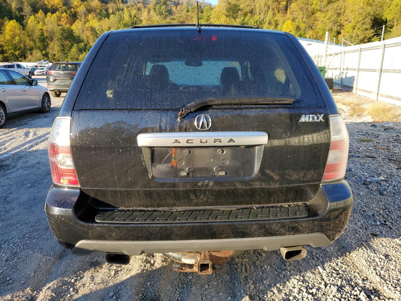 2004 Acura Mdx Touring VIN: 2HNYD18994H521309 Lot: 75621324