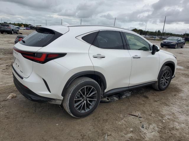 JTJADCAZ5R2011145 Lexus NX 250 Bas 3