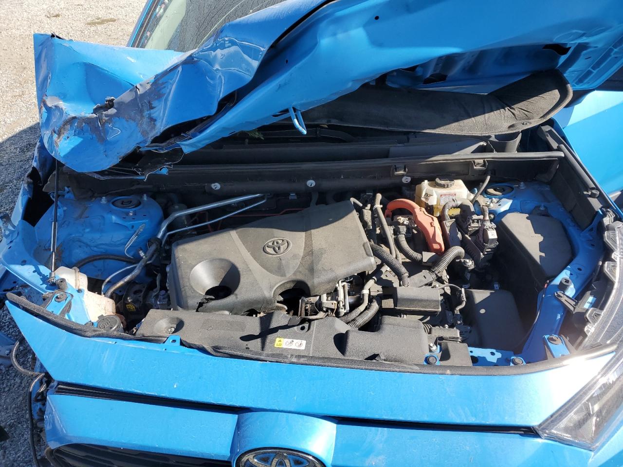 2021 Toyota Rav4 Le VIN: 4T3LWRFV7MU019357 Lot: 75305944