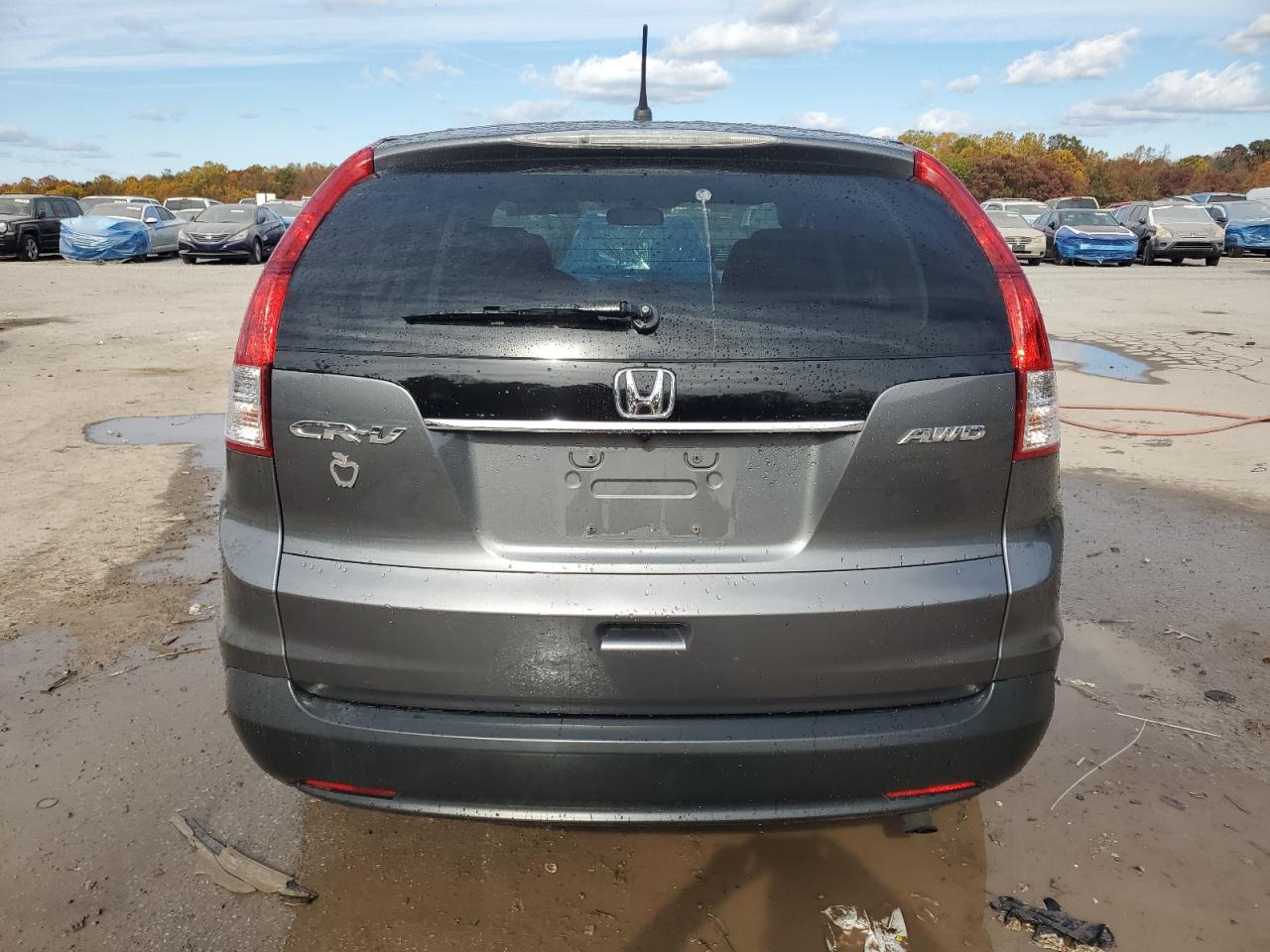 2013 Honda Cr-V Ex VIN: 2HKRM4H58DH600244 Lot: 77492634