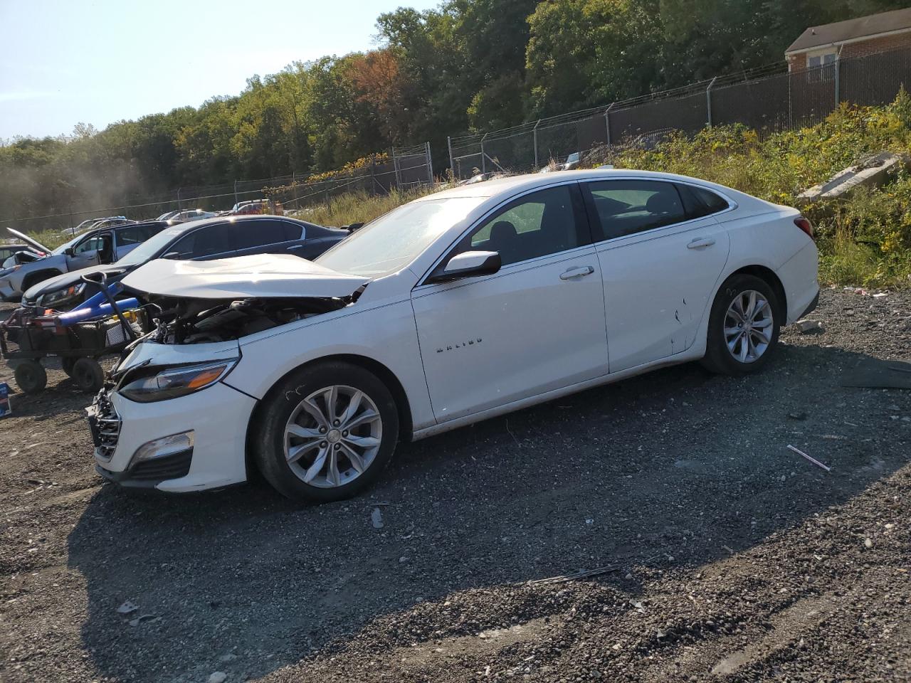 1G1ZD5ST6KF106025 2019 CHEVROLET MALIBU - Image 1