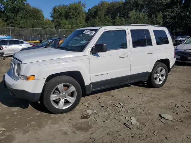 Паркетники JEEP PATRIOT 2014 Белый