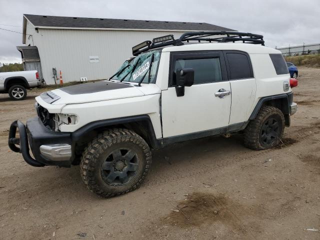 2010 Toyota Fj Cruiser 