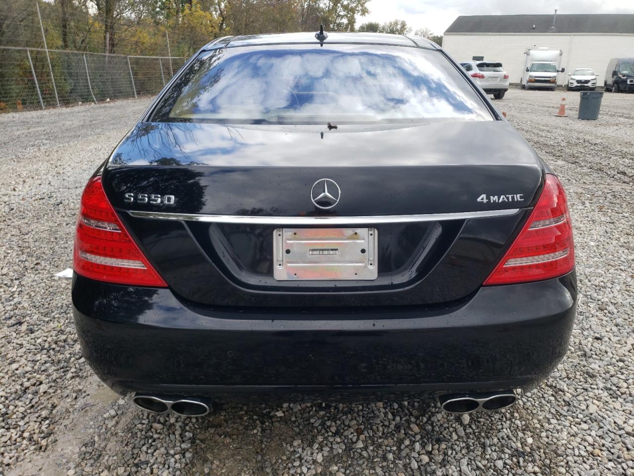 2010 Mercedes-Benz S 550 4Matic VIN: WDDNG8GB6AA333490 Lot: 76365254