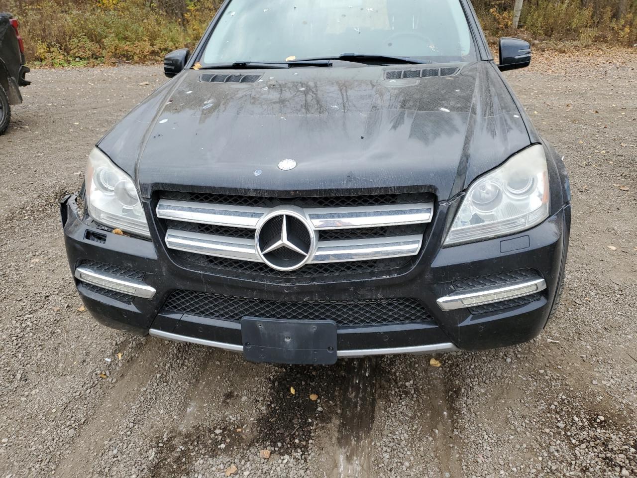 2011 Mercedes-Benz Gl 350 Bluetec VIN: 4JGBF2FE7BA705327 Lot: 77434244