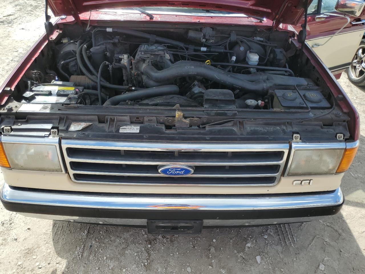 1991 Ford F150 VIN: 1FTDF15N0MNA33440 Lot: 77872164