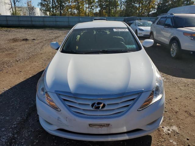 Седаны HYUNDAI SONATA 2013 Белы