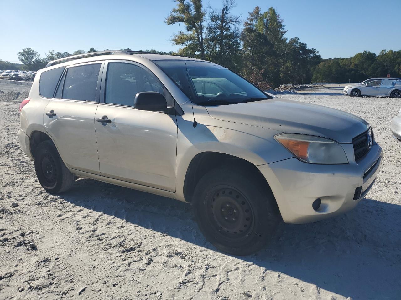 2007 Toyota Rav4 VIN: JTMZD33V176045606 Lot: 75745464