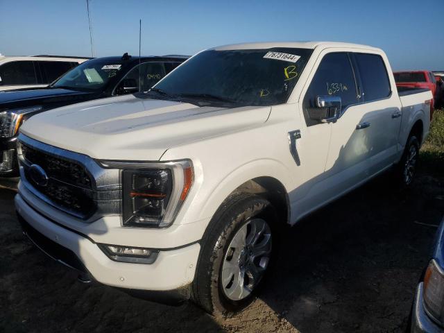 FORD F-150 – zdjęcie z aukcji, lot #76731644