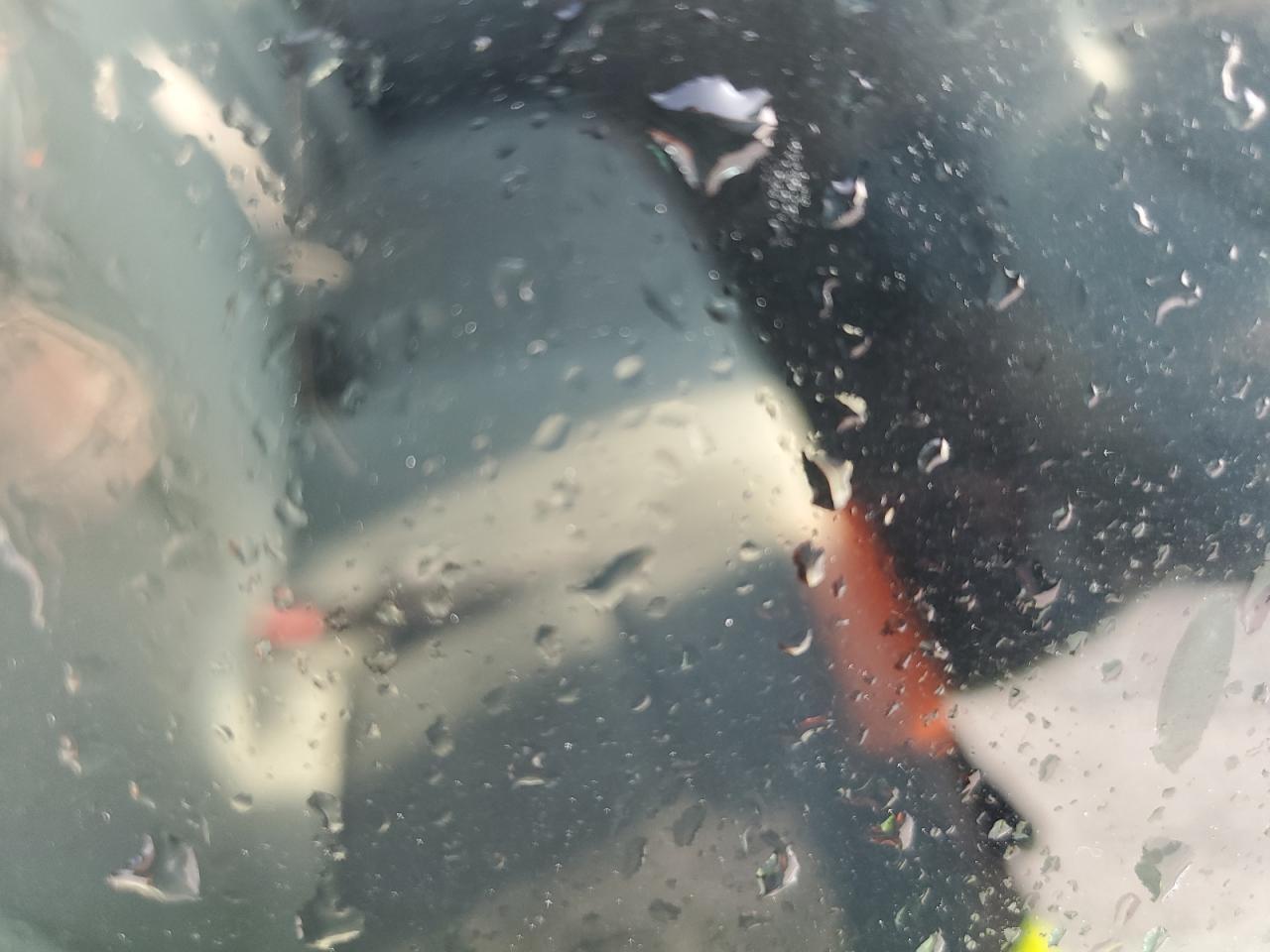 2013 Hyundai Sonata Gls VIN: 5NPEB4AC4DH793148 Lot: 75748684