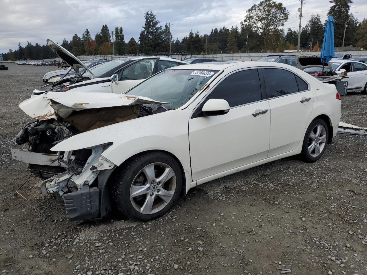 2010 Acura TSX - Image 1