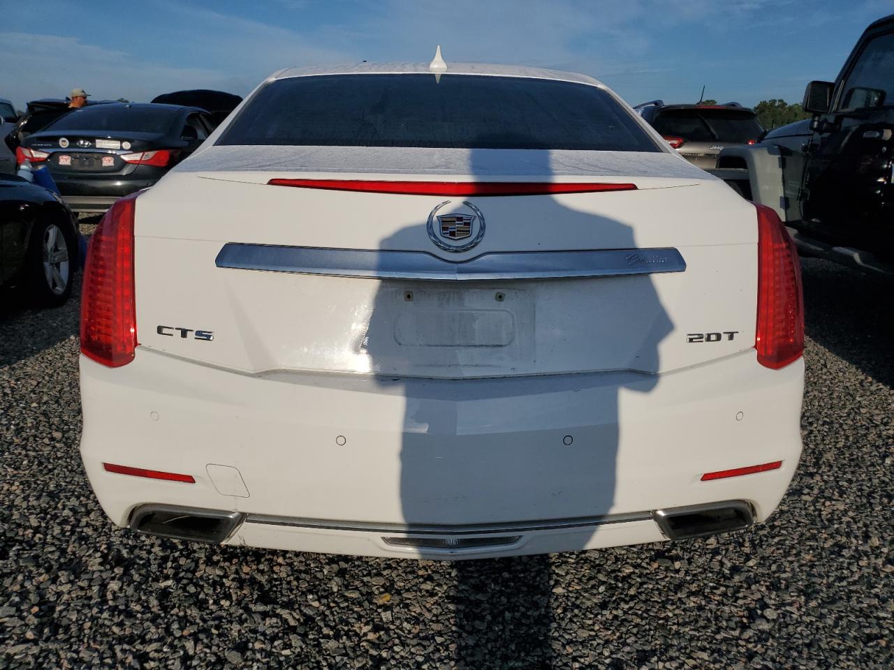 2014 Cadillac Cts VIN: 1G6AP5SX9E0133941 Lot: 73708144