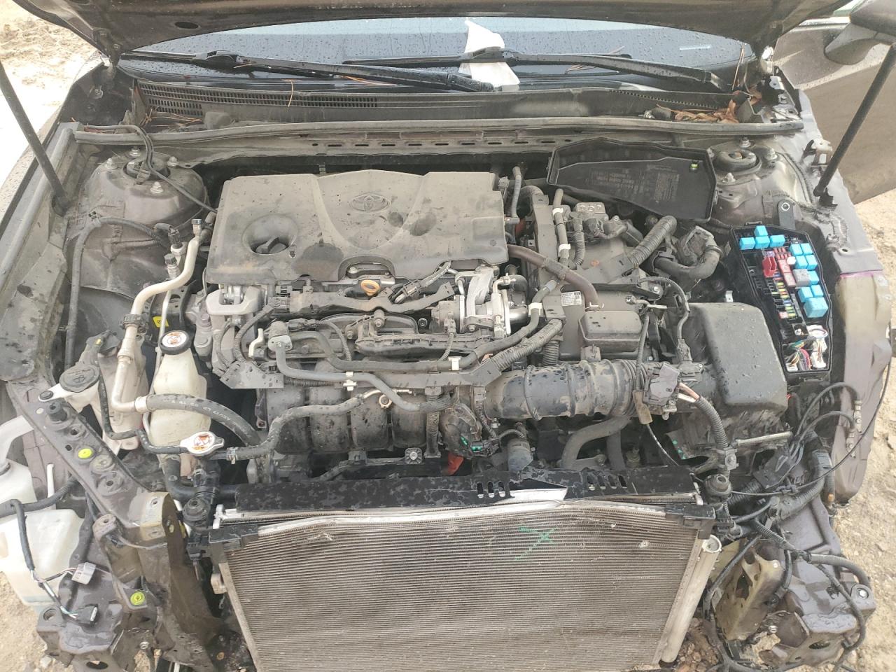 4T1B31HK6KU006680 2019 Toyota Camry Le