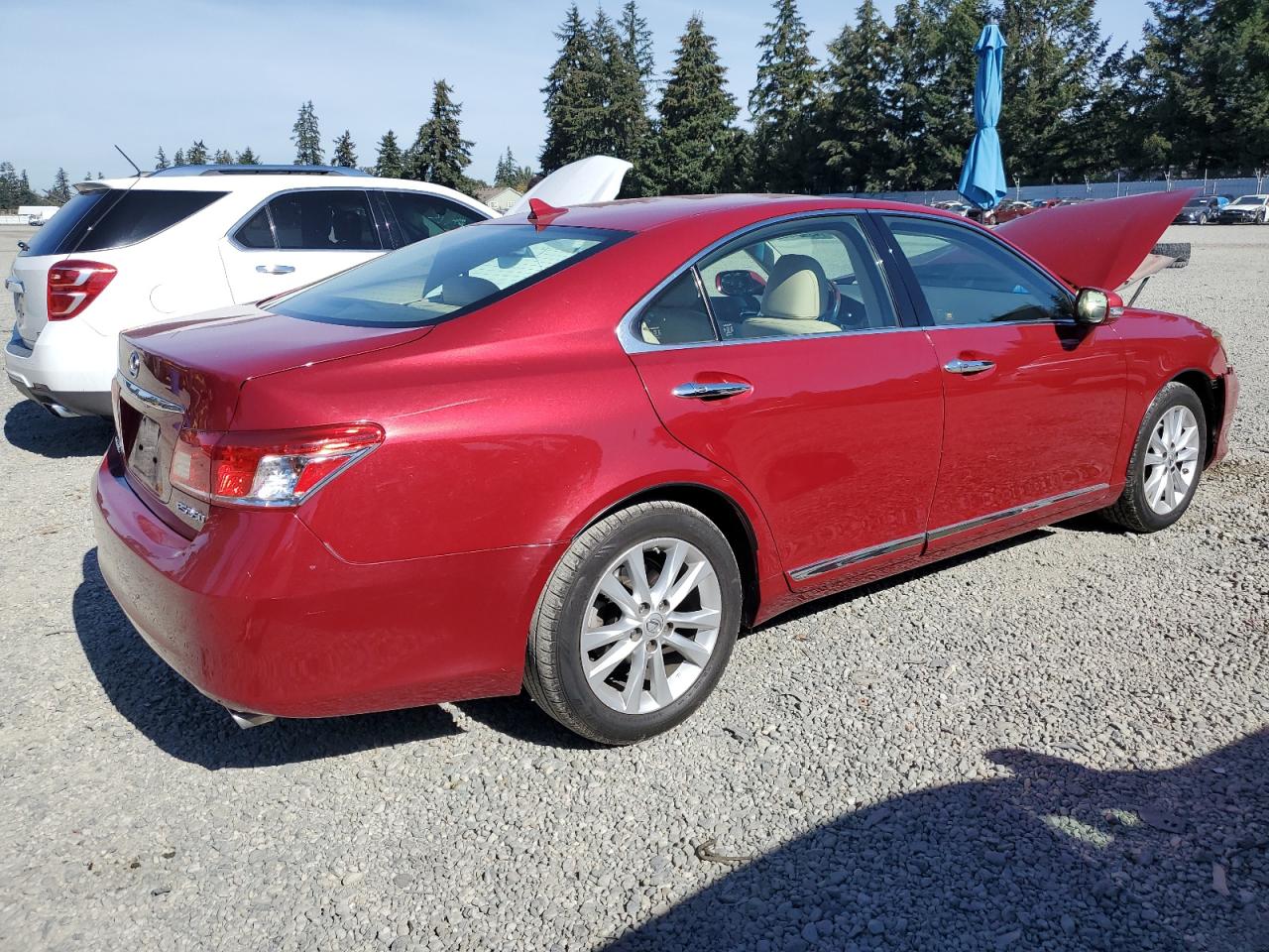 2010 Lexus ES - Image 3