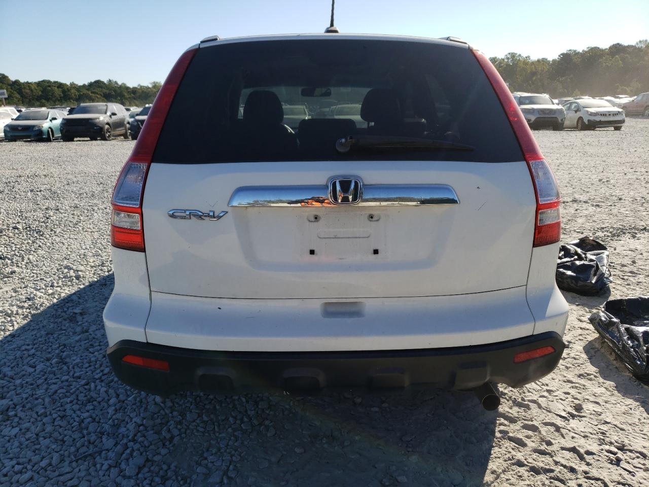 2007 Honda Cr-V Exl VIN: JHLRE38767C009003 Lot: 76032174