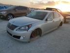 2014 Hyundai Equus Signature en Venta en Arcadia, FL - Water/Flood