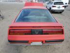 1987 Pontiac Firebird  for Sale in Hillsborough, NJ - Biohazard/Chemical