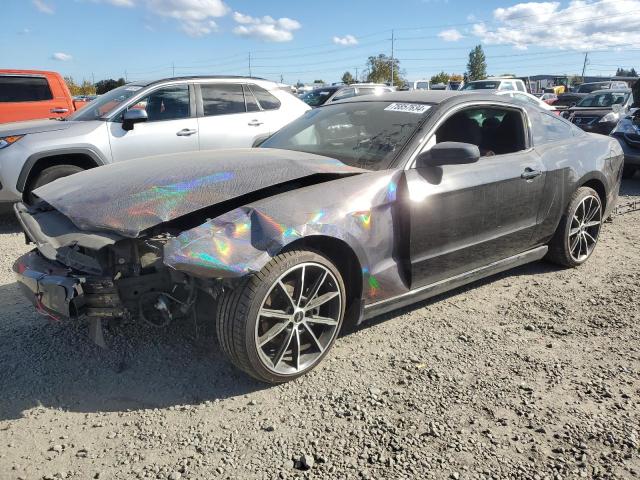 2013 Ford Mustang 