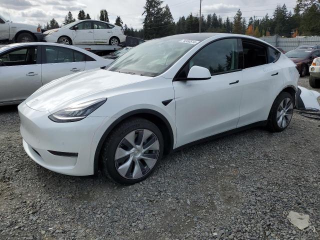 2020 Tesla Model Y 