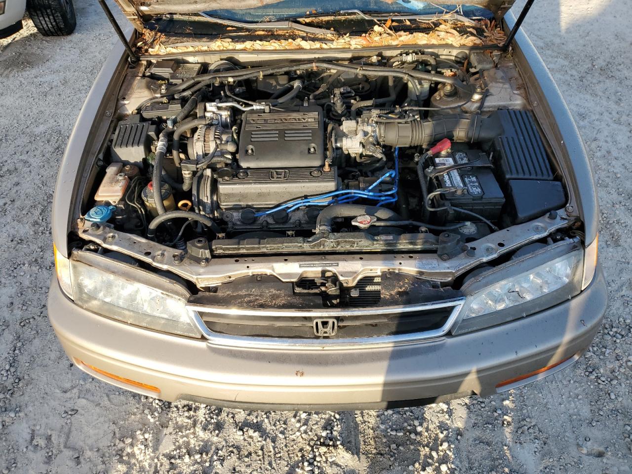 1HGCE666XSA000096 1995 Honda Accord Ex