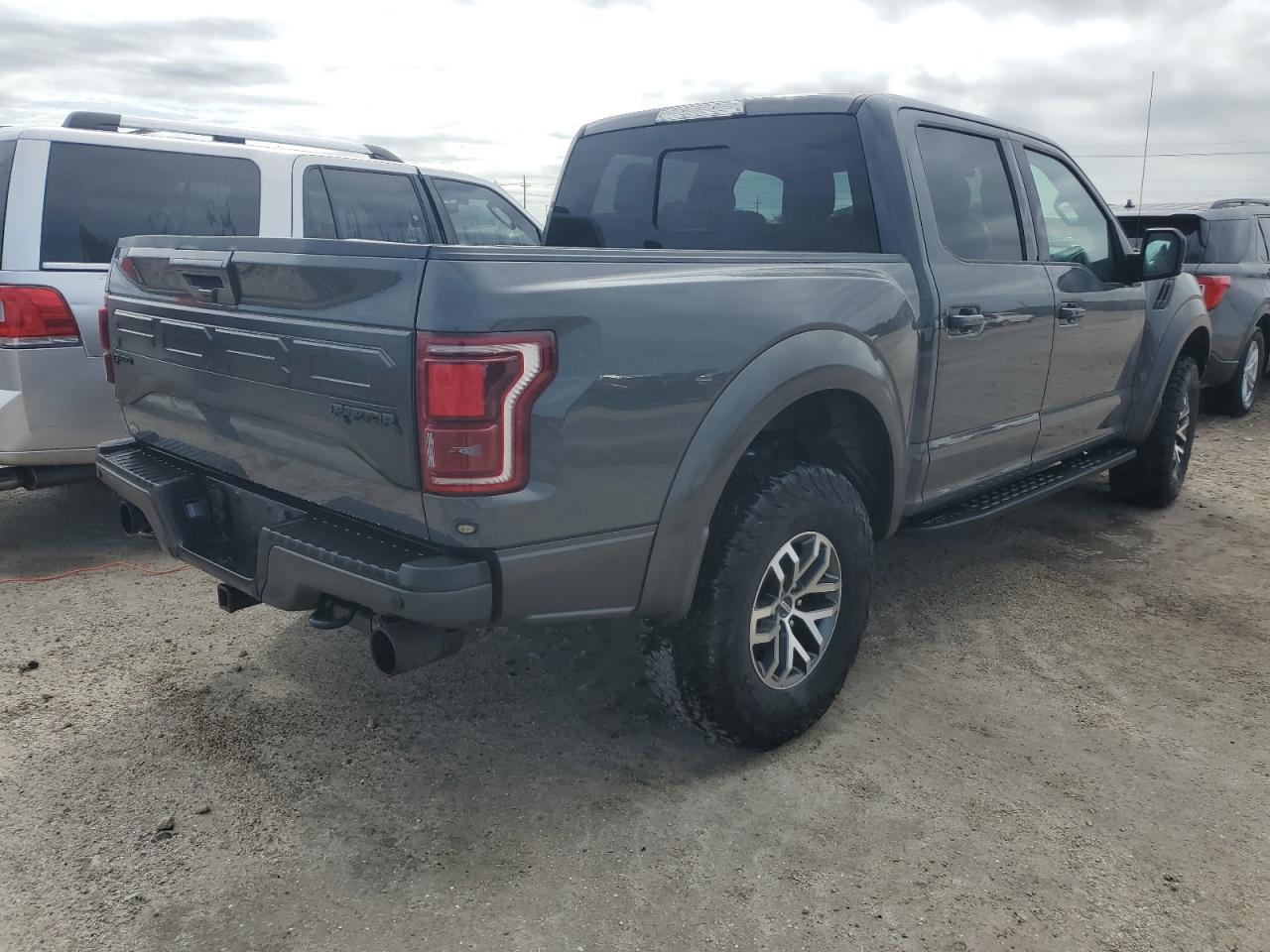 2018 Ford F150 Raptor VIN: 1FTFW1RG3JFB22137 Lot: 73918254