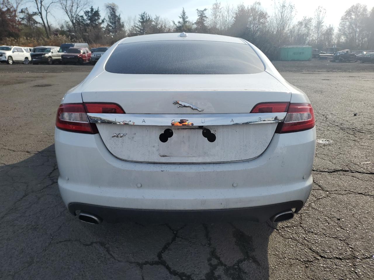 2011 Jaguar Xf Premium VIN: SAJWA0GB1BLR95583 Lot: 77340194