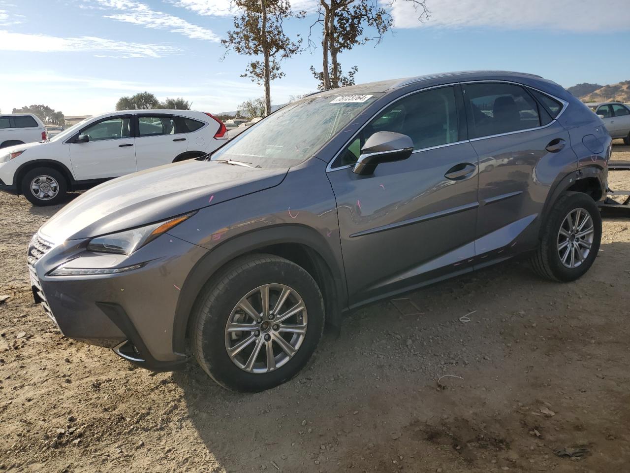 2019 LEXUS NX