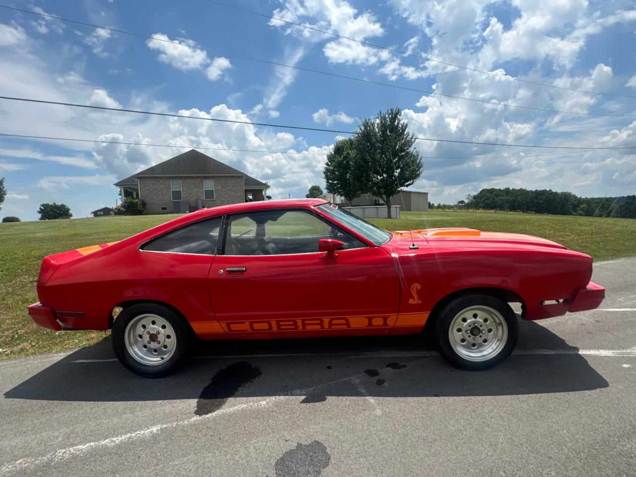 8F03F182544 1978 Ford Mustang