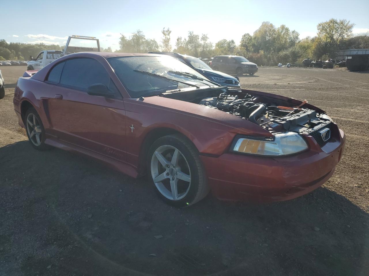 1FAFP4042YF102494 2000 Ford Mustang