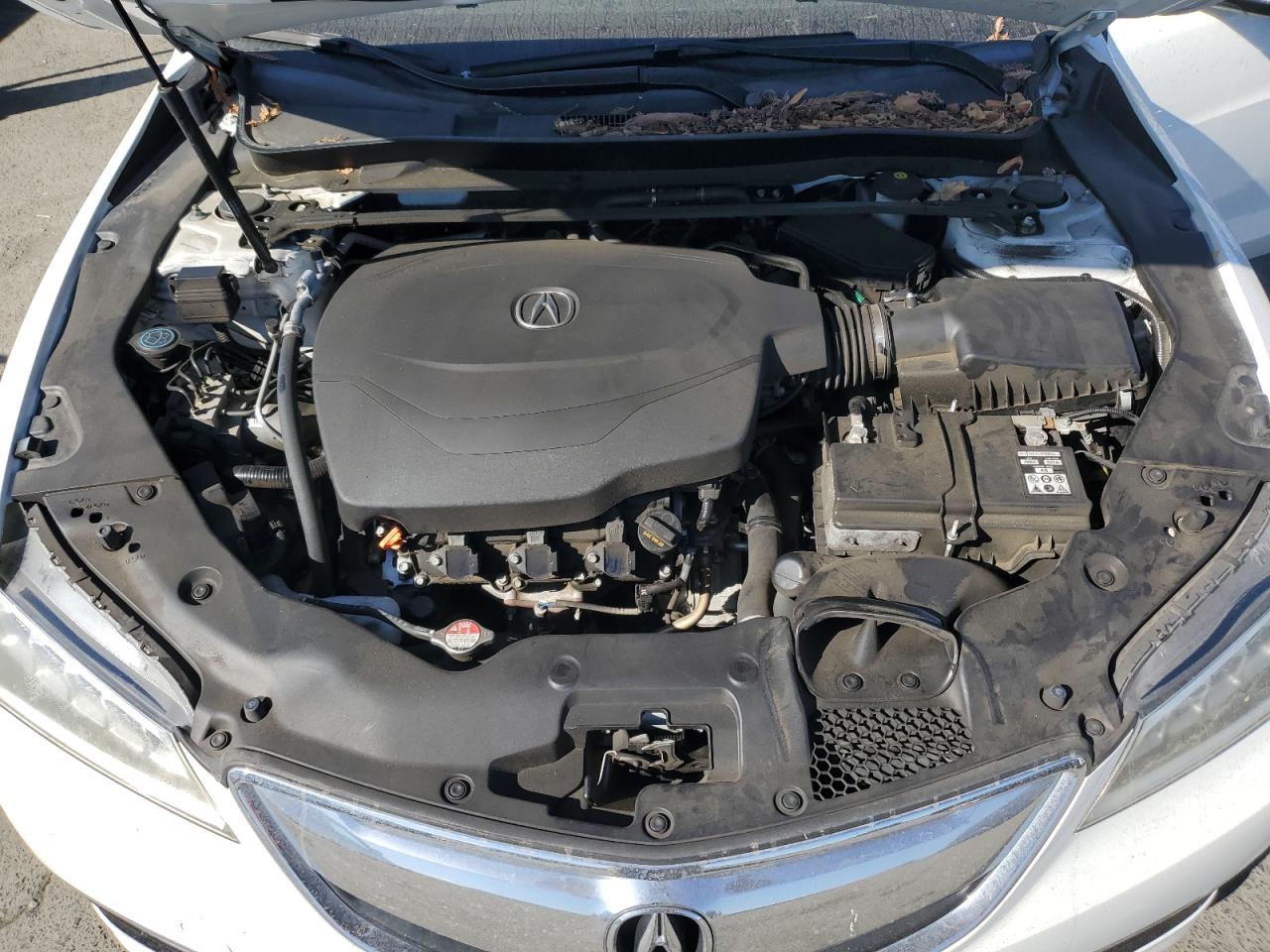 19UUB2F52HA005198 2017 Acura Tlx Tech