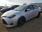 2018 Toyota Corolla L en Venta en Rocky View County, AB - Hail