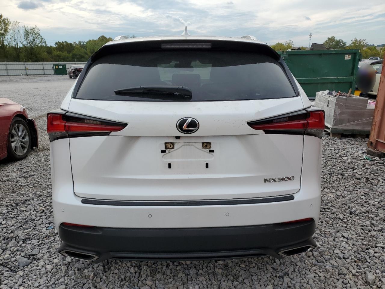 2020 Lexus Nx 300 VIN: JTJDARBZ1L5004884 Lot: 74678544