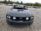2008 Ford Mustang  for Sale in Memphis, TN - Burn - Interior