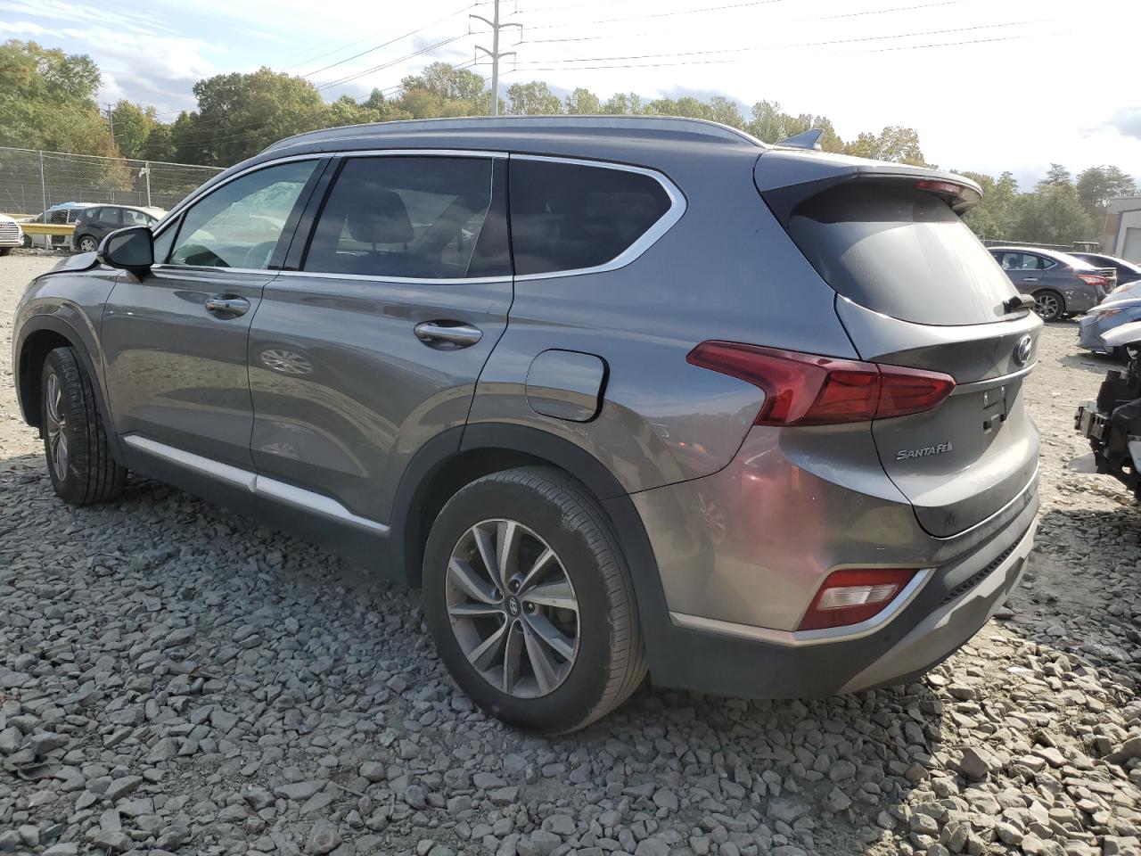 2020 Hyundai Santa Fe Sel VIN: 5NMS3CAD7LH171559 Lot: 75818484