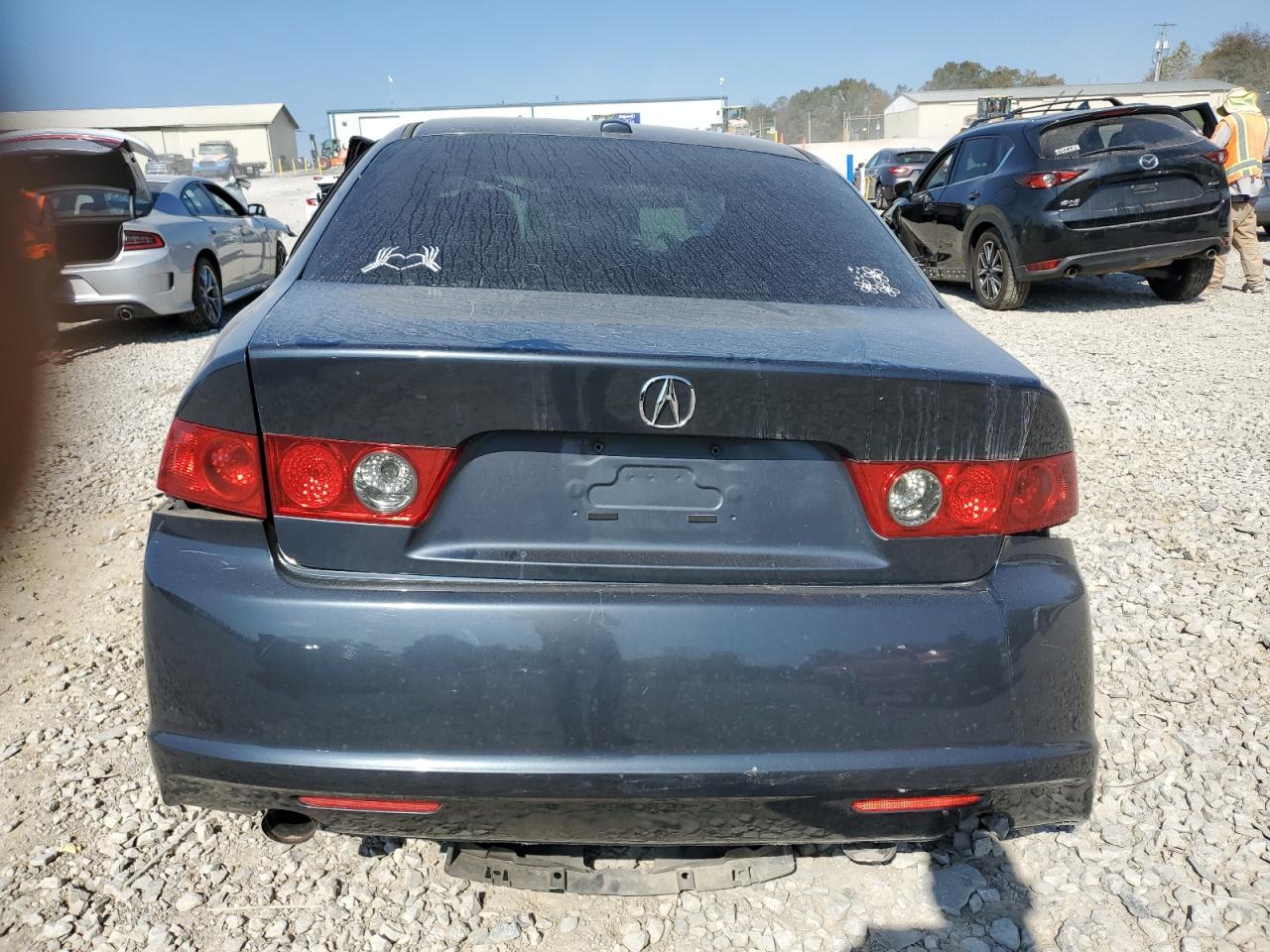 2008 Acura Tsx VIN: JH4CL969X8C018464 Lot: 77342824