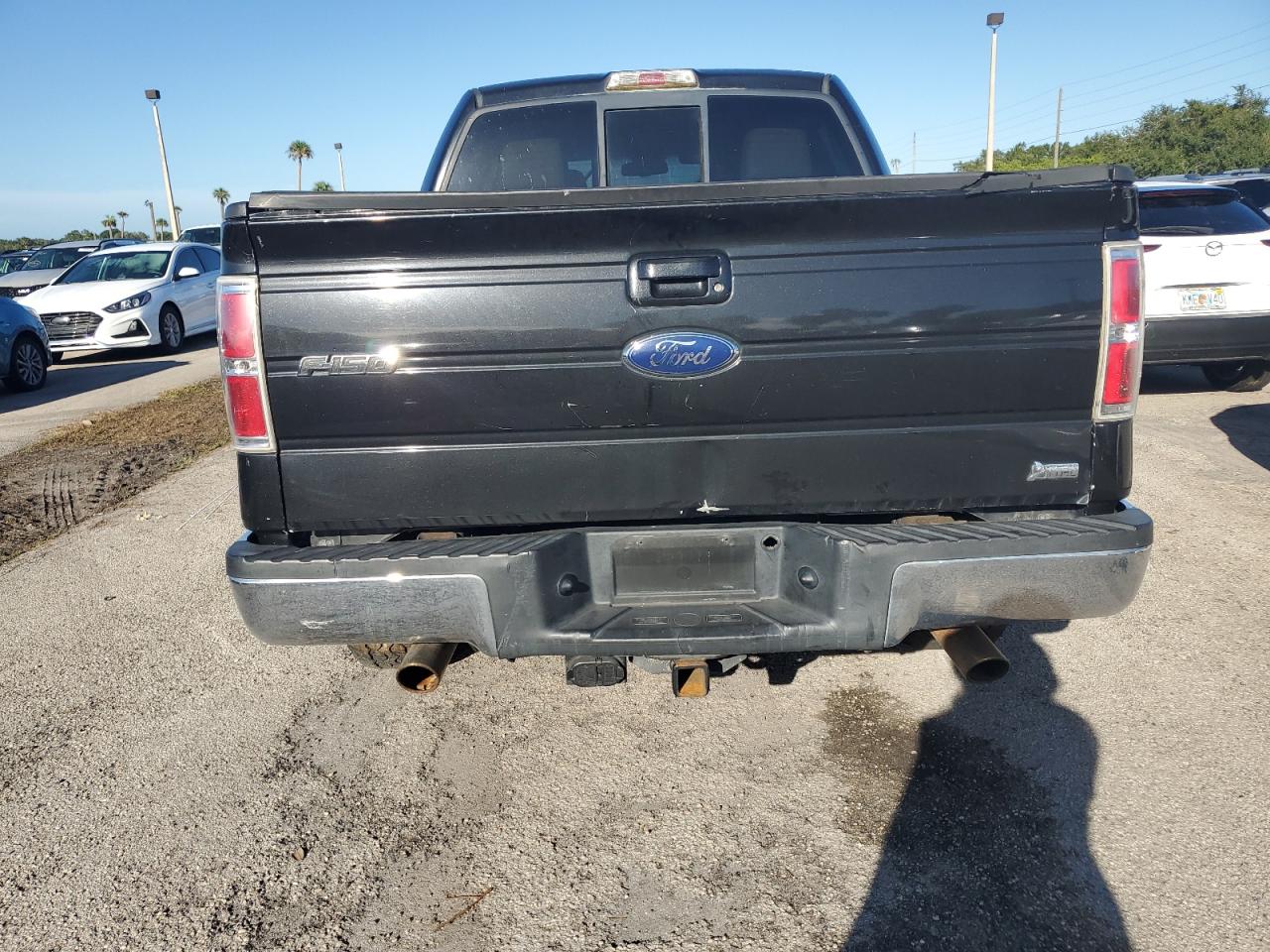 1FTFW1CV6AKE79553 2010 Ford F150 Supercrew