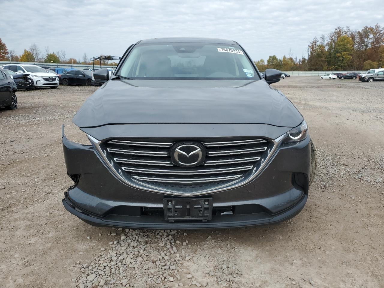 2023 Mazda Cx-9 Touring VIN: JM3TCBCYXP0653390 Lot: 76876934