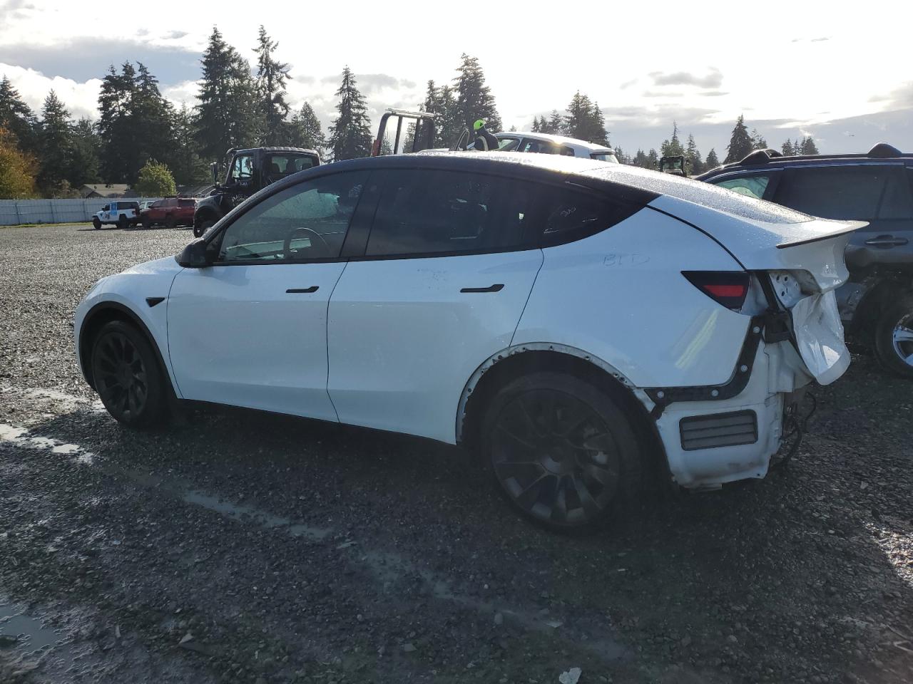 VIN 7SAYGDEE0NF341498 2022 TESLA MODEL Y no.2