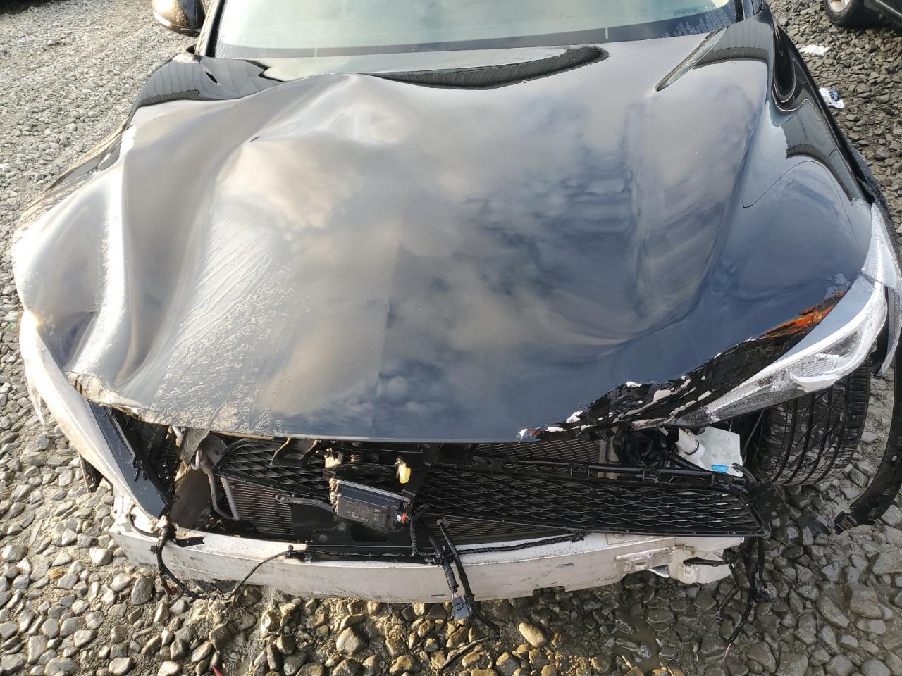 2019 Infiniti QX50 - Image 12