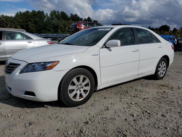 2009 Toyota Camry Hybrid