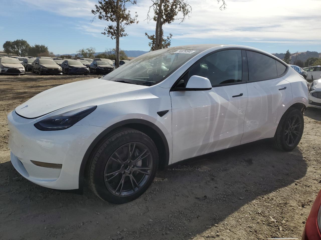 7SAYGDED2RF191388 2024 TESLA MODEL Y - Image 1